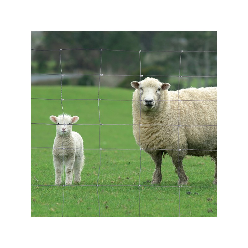 Grillage à mouton noue leger 122/9/15 Hauteur 1.20 m Rlx 50 m